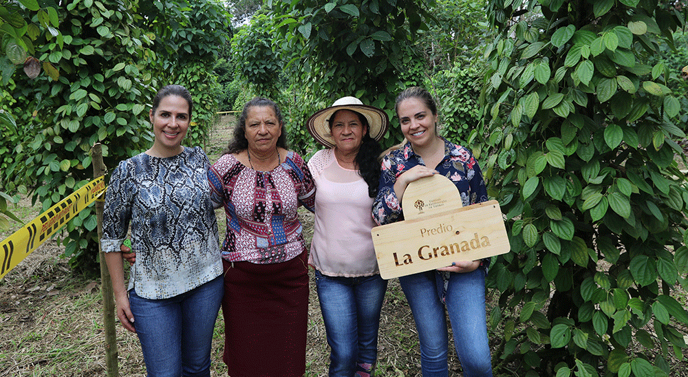 De Valle del Guamuez para el mundo: la pimienta de exportación