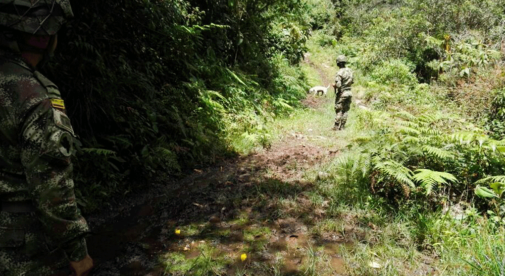 El PNUD y la Unidad de Restitución de Tierras realizaron capacitación en protocolos de seguridad para ejecutar acciones ante presencia de minas antipersona