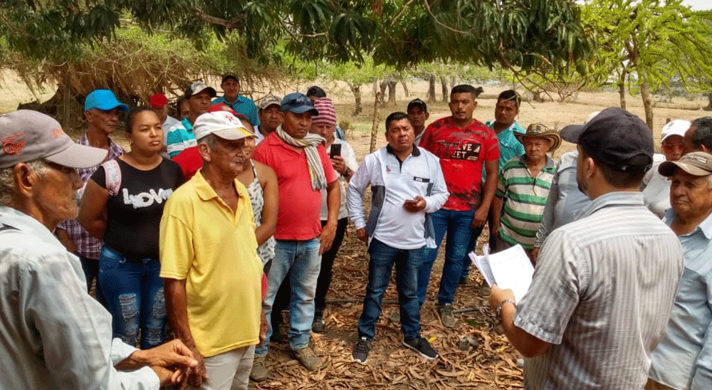 En Tierralta (Córdoba), URT entregó materialmente 290 hectáreas de tierra a campesinos víctimas de los paramilitares