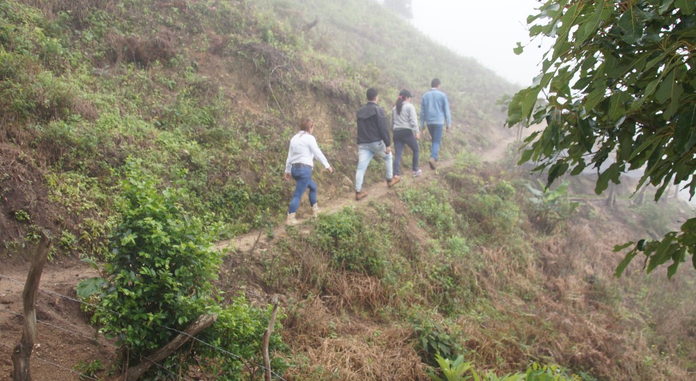 Profieren primera sentencia de restitución de tierras  en Arauca, beneficiando a una familia víctima de Tame