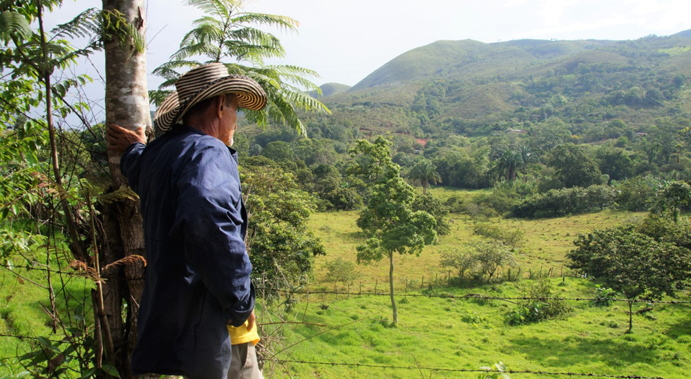 La restitución en Tolima: una mirada al sur, una mirada a la esperanza