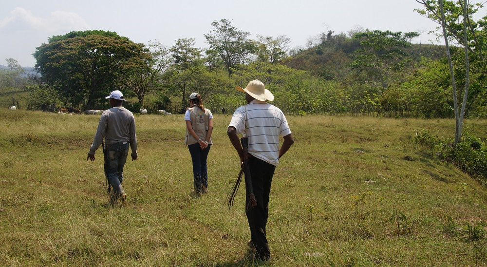 Más de 3.200 hectáreas se han restituido en el departamento de Bolívar