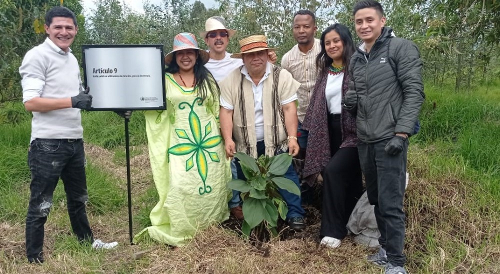 Giovani Yule, director general de la URT, participó en jornada de siembra de árboles liderada por la ONU en el Día de los Derechos Humanos