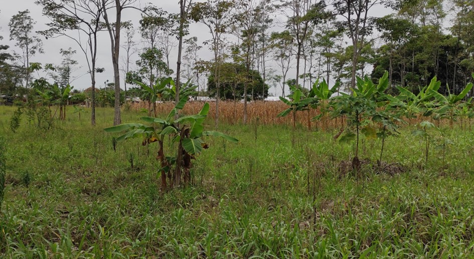 El trabajo liderado por la Dirección Territorial de Apartadó hizo posible que se habilitarán nuevas zonas de intervención para identificar predios solicitados en restitución de tierras en el municipio de Riosucio, en el Norte del departamento del Chocó.