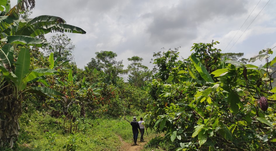 URT inicia proceso de restitución de más de 300 hectáreas de la vereda “La Trampa” de Turbo, Antioquia