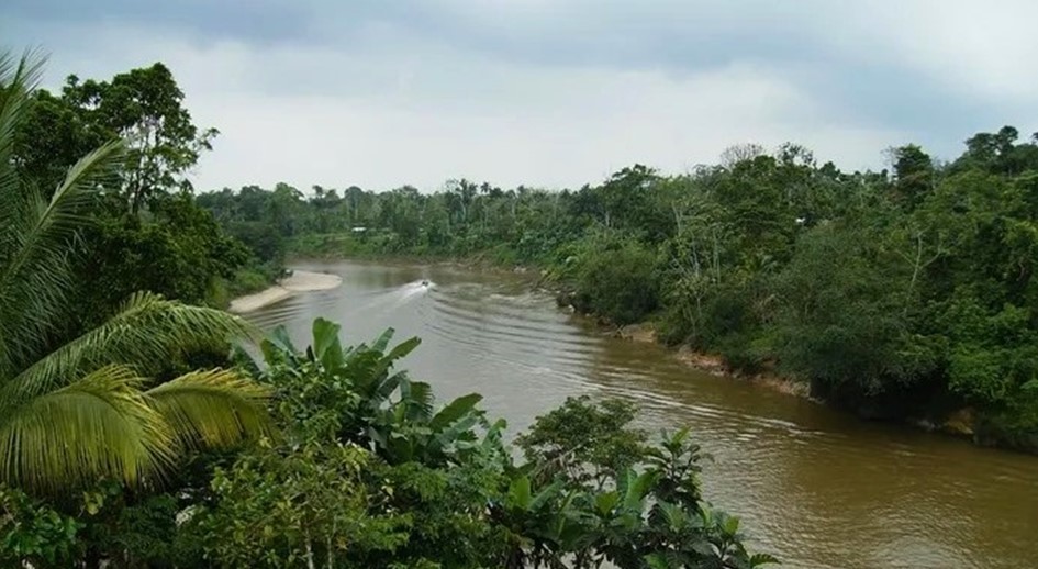 Admiten demanda para restituir 9.557 hectáreas a Consejo Comunitario Prodefensa del Río Tapaje, en Nariño