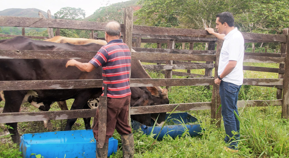 La restitución de tierras reconstruye el tejido social de los colombianos
