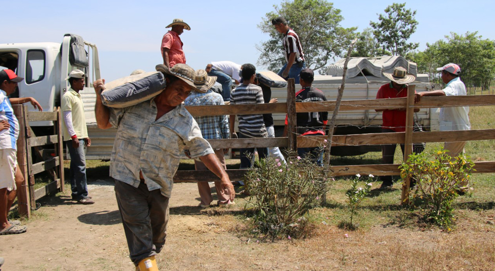 Familias restituidas en Cedro Cocido fortalecen sus proyectos productivos