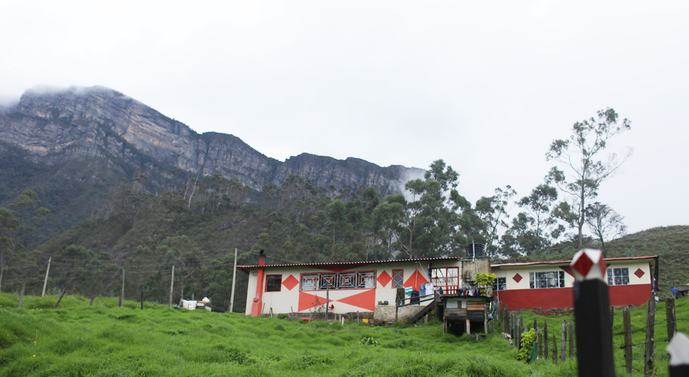 En La Palma 15 familias, encabezadas por mujeres, recibirán sus tierras