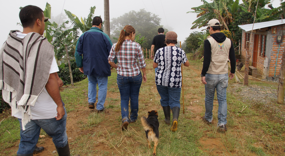 En 24 nuevas zonas del Valle del Cauca, la Unidad de Restitución de Tierras comenzará trabajos