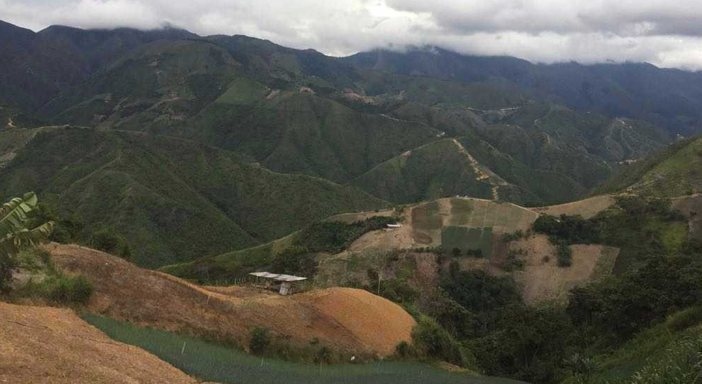 Familias de Tibú, víctimas de paramilitares y guerrilla, recibirán tierras compensadas