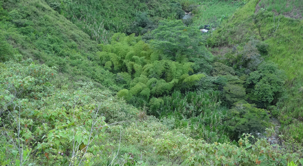 Restitución de tierras llega a los municipios de Santa Rosa, La Vega y El Tambo, en Cauca