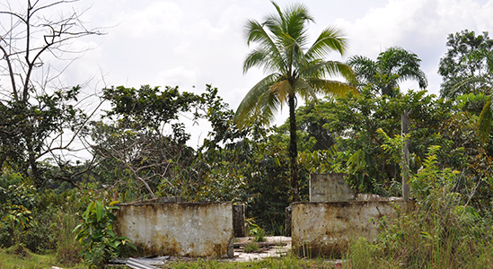 La Unidad de Restitución de Tierras presentó demanda étnica a favor del Consejo Comunitario Mayor de la Organización Popular del Alto Atrato – COCOMOPOCA, en el departamento de Chocó