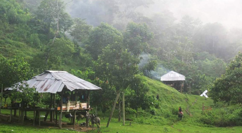 Sentencia de restitución étnica reconoce 3.157 hectáreas a indígenas del Chocó