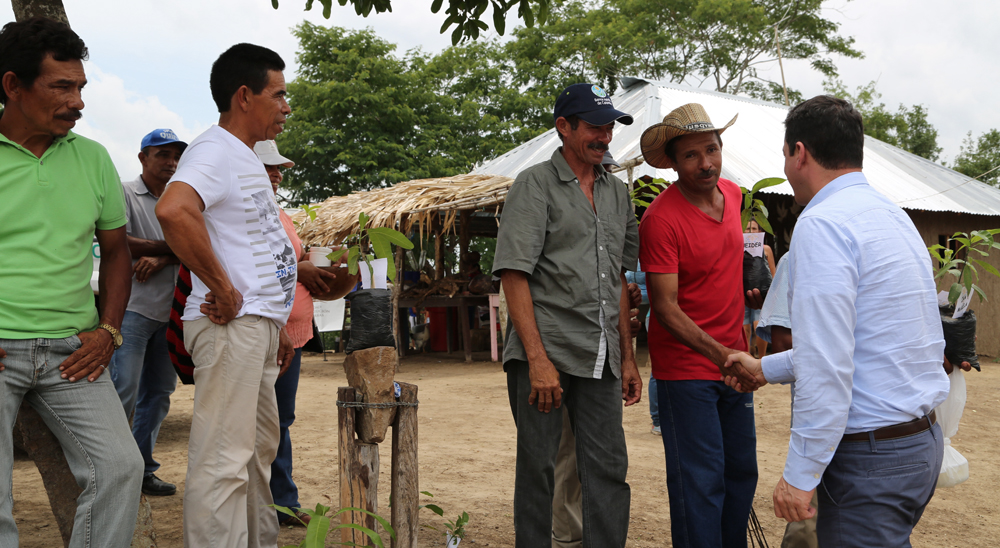 Asociación de productores agropecuarios de Morroa: una apuesta de reconciliación desde la restitución