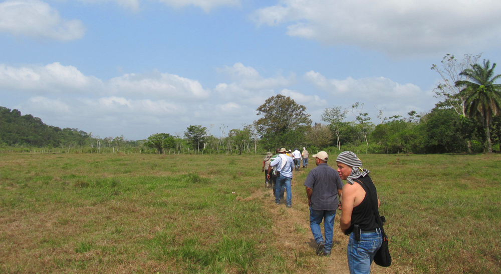 Tribunal de Antioquia escuchó a los reclamantes y ordenó restituir más de 1.500 hectáreas