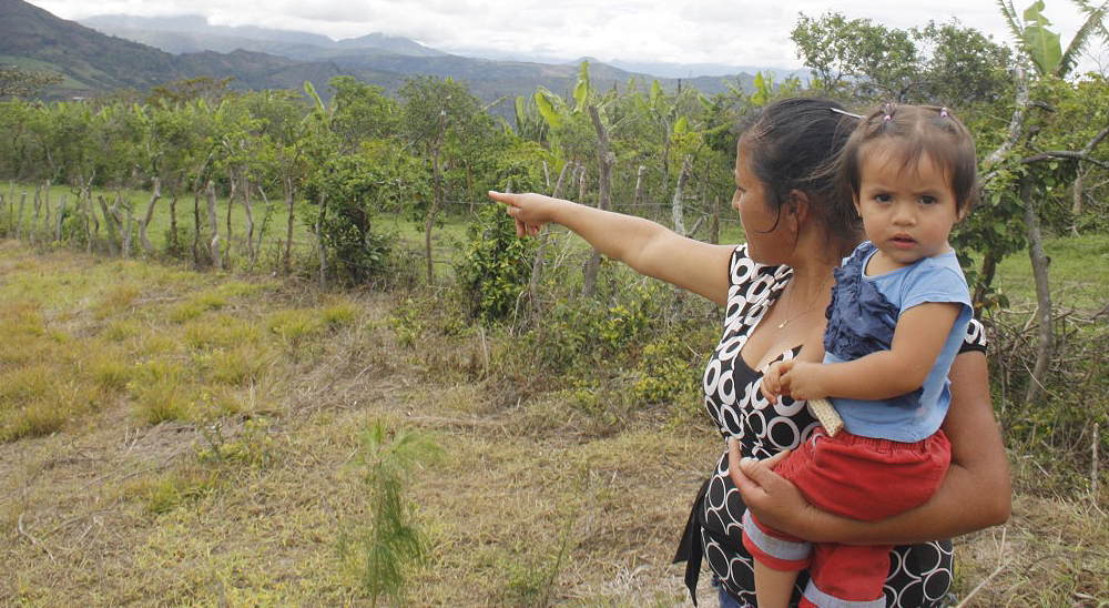 Cerca de 6 mil mujeres son propietarias de sus tierras gracias a la Unidad de Restitución