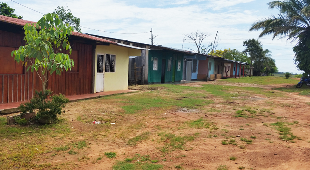 Madre cabeza de hogar recupera su tierra en Mapiripán, Meta