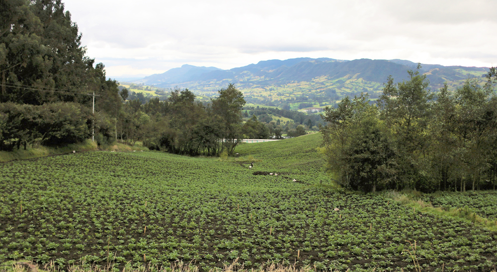 URT ha atendido solicitudes de restitución relacionadas con tierras de 60 municipios de Boyacá