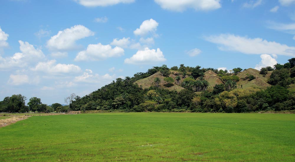 Más de 1000 campesinos de Tolima han recuperado sus predios, gracias a la restitución de tierras