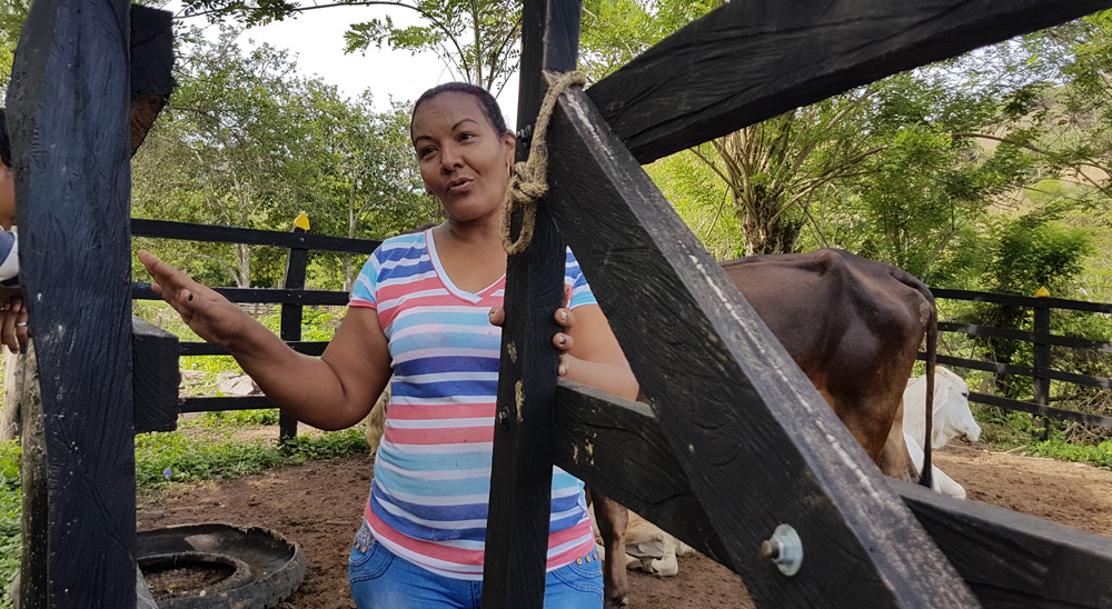 Mujer víctima del conflicto, en Cesar, le apuesta a la ganadería como forma de subsistencia