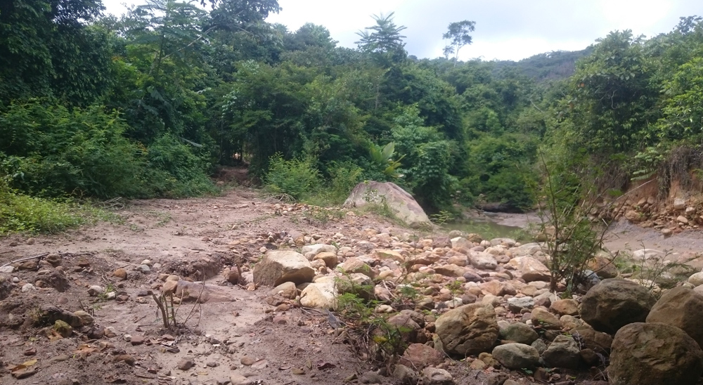 Por solicitud de la Unidad de Restitución de Tierras, el Ministerio de Ambiente sustrajo más de 30.000 hectáreas para víctimas en Simacota, Santander