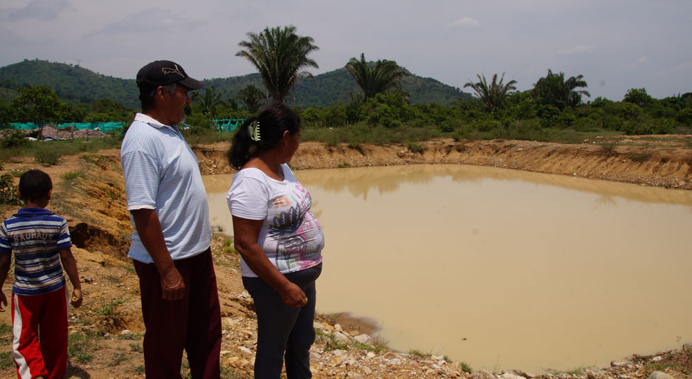 Se renuevan tierras restituidas en Cesar con proyectos productivos