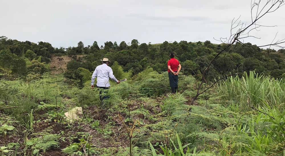 La restitución de tierras está dejando huellas imborrables en el departamento de Cauca