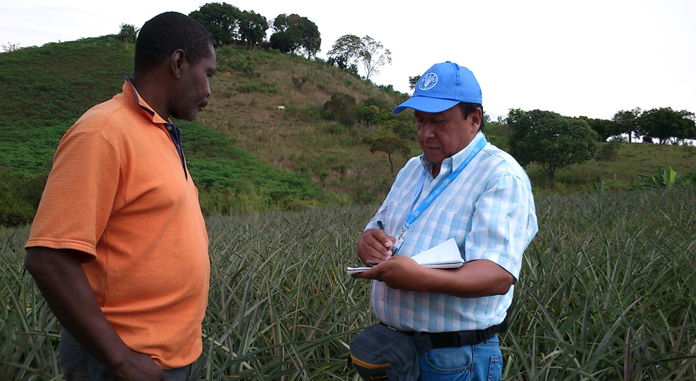 En Cauca, más familias reciben proyectos productivos en tierras restituidas