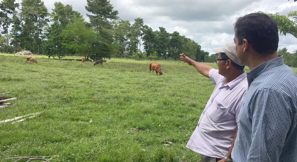 Víctimas de alias Camilo Morantes, en Sabana de Torres, han recuperado más de 1000 hectáreas de tierra