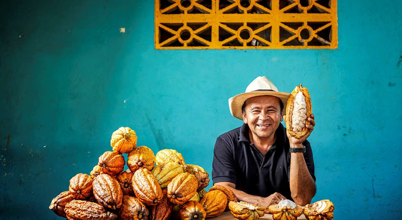 Honduras capacitará a campesinos restituidos en la producción de cacao orgánico