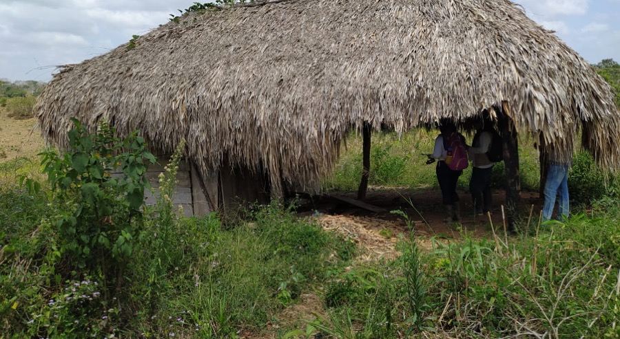 Campesino que huyó de la violencia generada por la ‘Casa Castaño’ recuperó su predio en San Pedro de Urabá