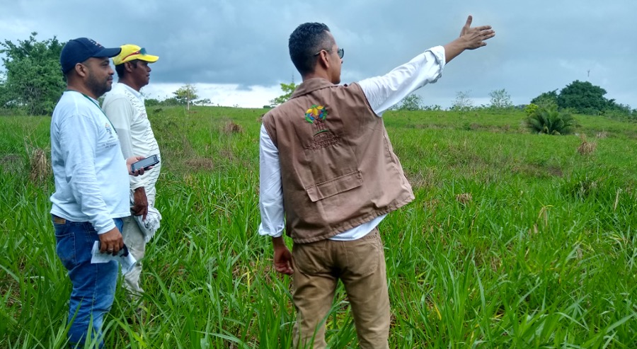 Familia víctima de las bandas criminales recupera 561 hectáreas en el Bajo Cauca antioqueño