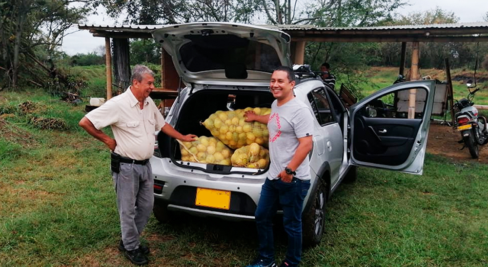 Maracuyá cultivado en tierras restituidas del Valle del Cauca es comercializado con reconocida empresa de venta de fruta