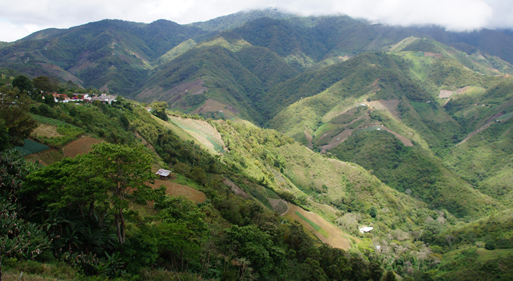 Se presentaron las primeras dos demandas de restitución de tierras en Arauca