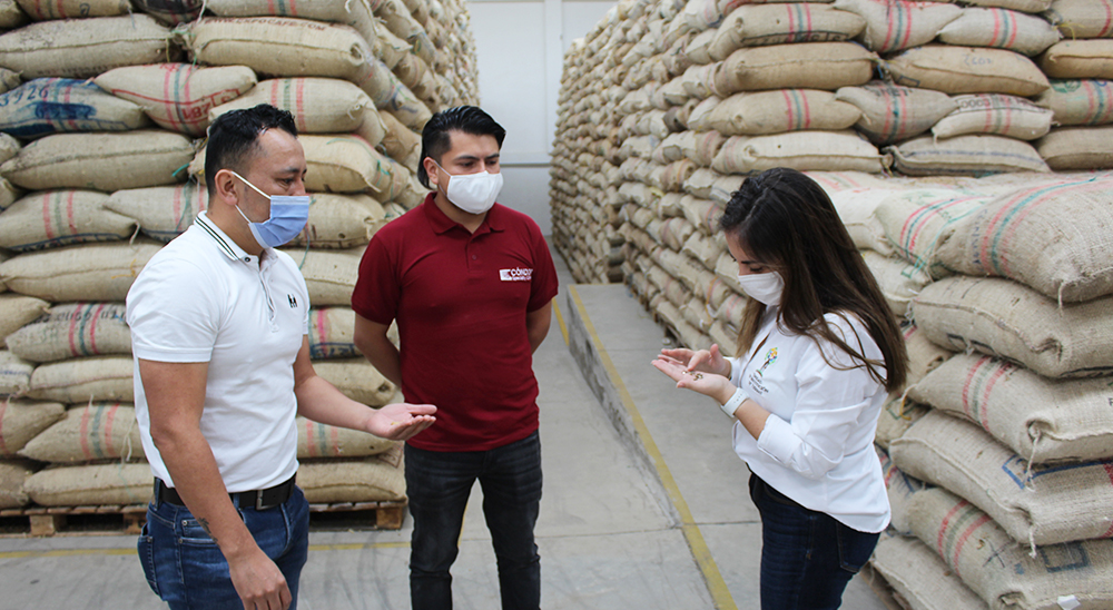 Seleccionadas las 10 mejores muestras de café producido por familias restituidas del Tablón de Gómez en Nariño