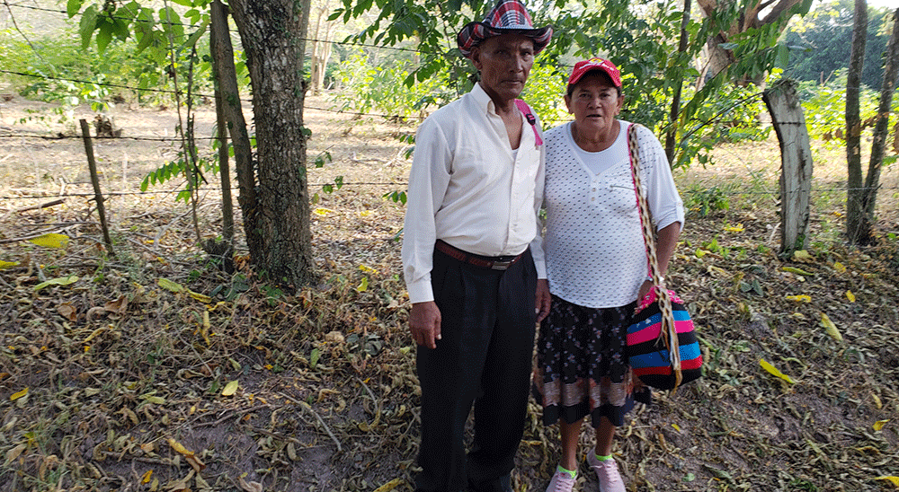 Familia de El Copey (Cesar), víctima de los paramilitares, recuperó sus tierras
