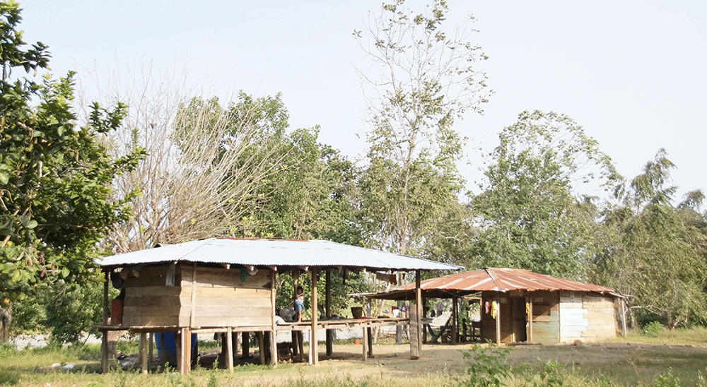 Resguardo Indígena Tanela, de Unguía (Chocó), recuperó 1.029 hectáreas de tierra
