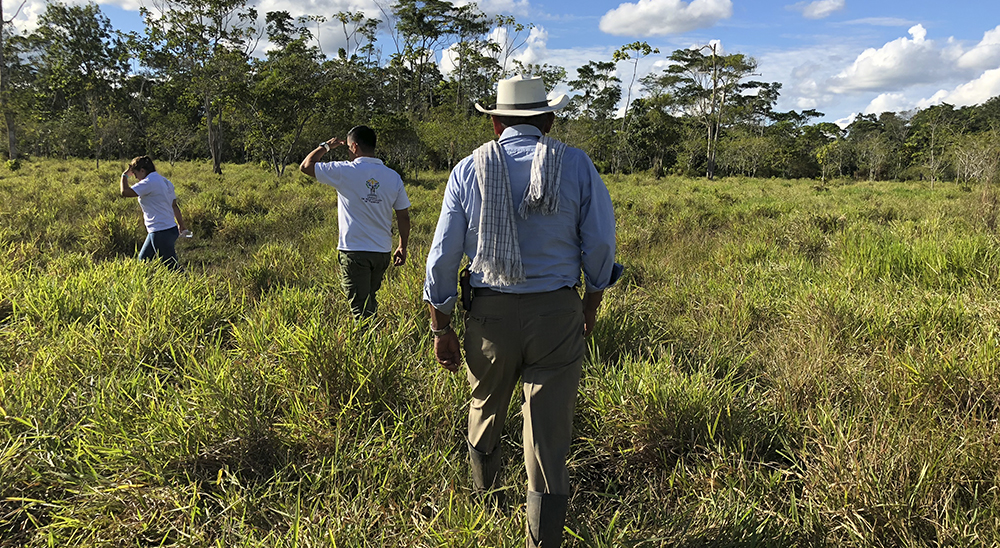 Más de 1.700 solicitudes de restitución de tierras responderá en 2021 la Dirección Territorial de Tolima