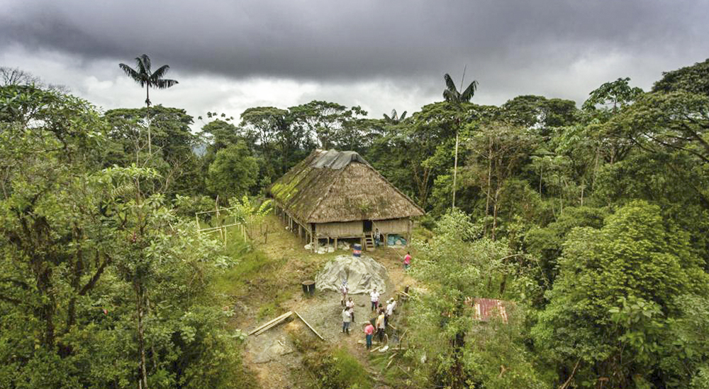 Justicia restituye 44.981 hectáreas a cinco resguardos indígenas del pueblo Awá en la subregión de Telembí en Nariño