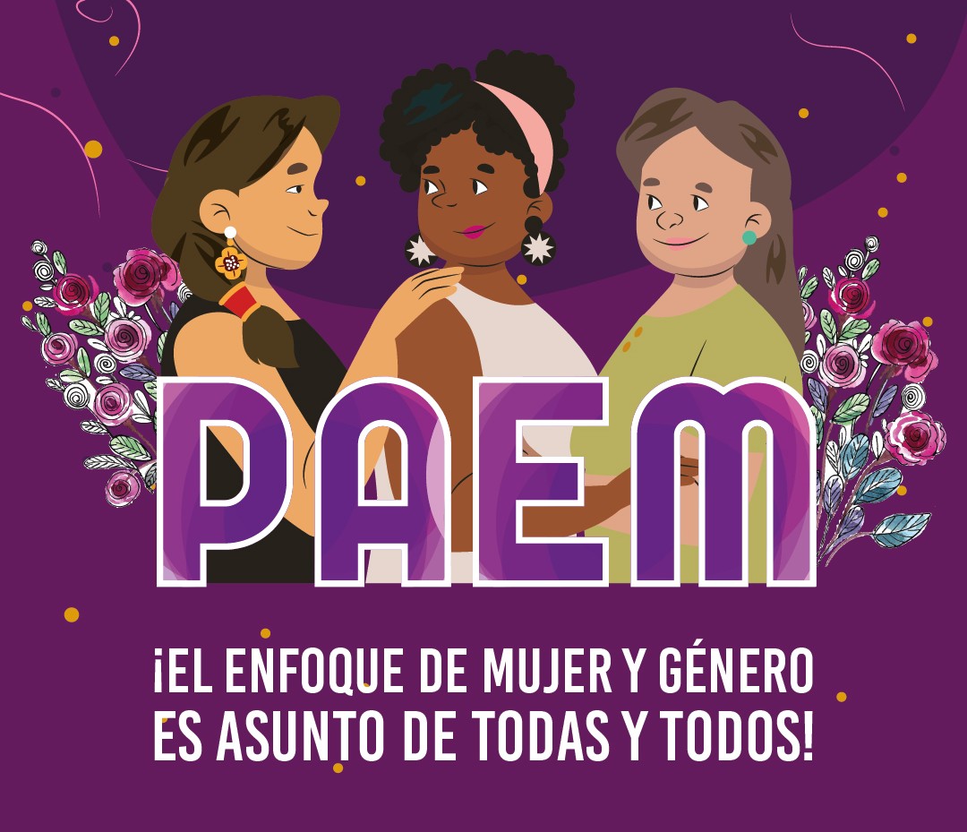 Avances PAEM IV Fase - 2025