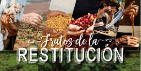 Micrositio frutos
