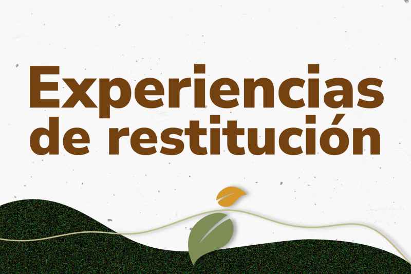 Experiencias de restitución