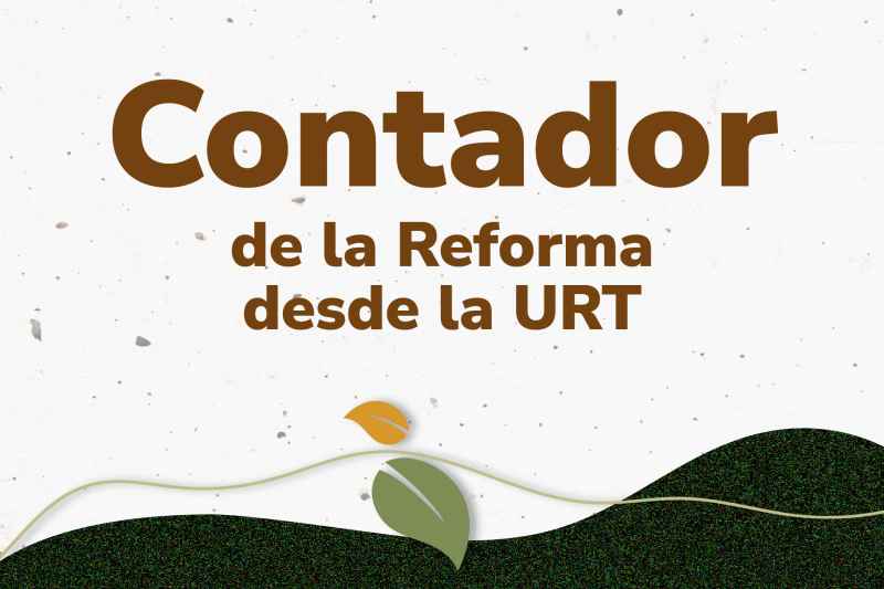 Contador de la reforma