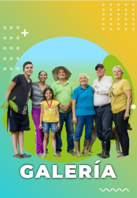 galeria galería de fotos