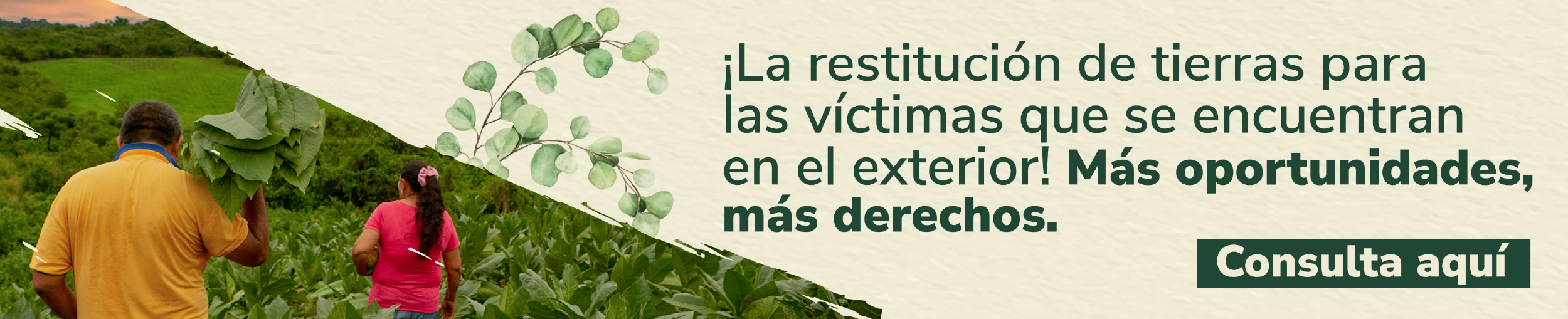 banner informe rendición Restitución de víctimas
