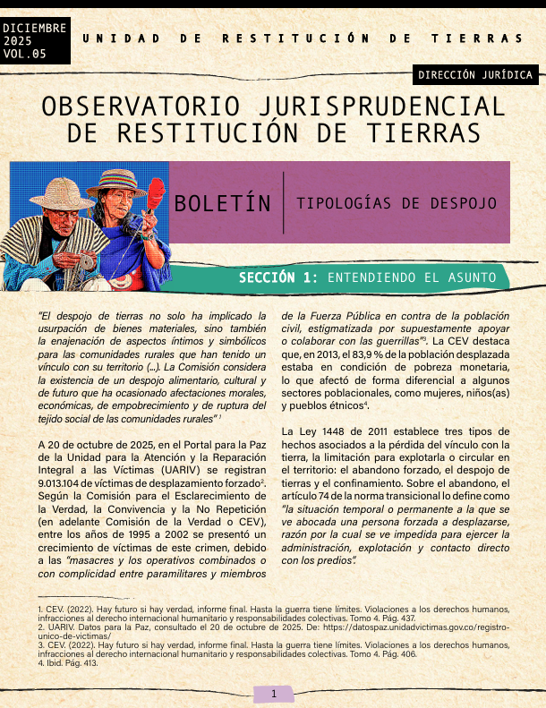 Boletín 5 Tipologías de despojo