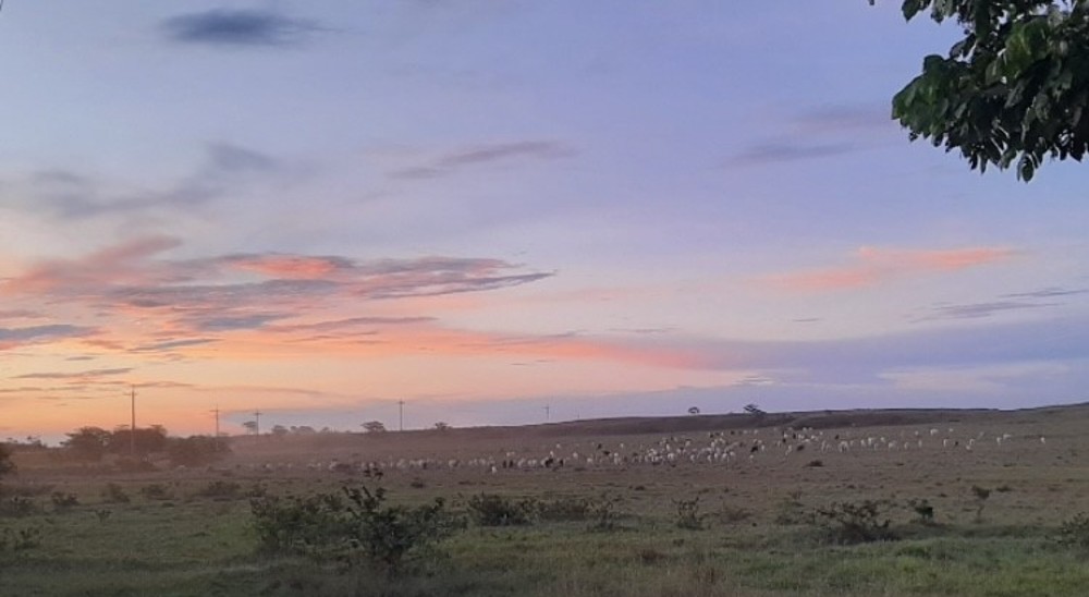 Con nuevo predio será compensada dirigente comunal desterrada por autodefensas de zona rural en Puerto Gaitán, Meta 
