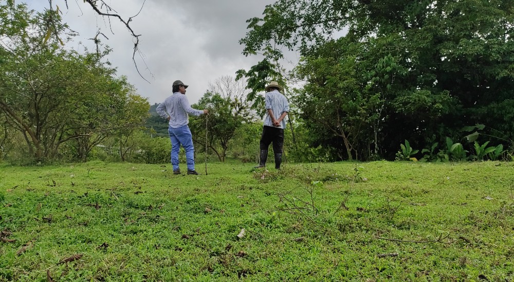 Unidad de Restitución de Tierras responderá a 737 solicitudes sobre predios abandonados y/o despojados en zona rural de Necoclí