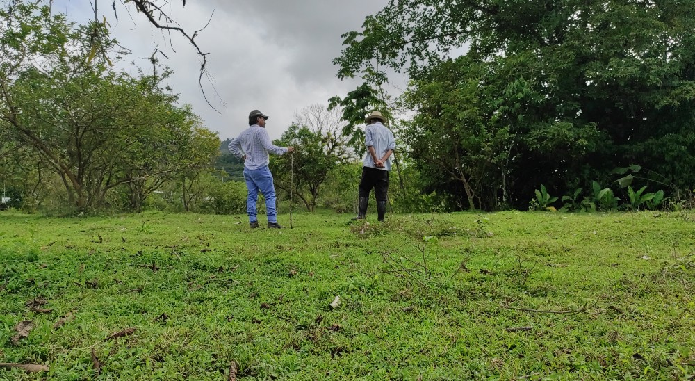 nullAvanza restitución en siete departamentos a cargo de la Dirección Territorial Bogotá 